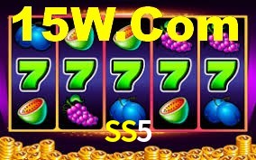 Experimente o Login Seguro Premium no SS5